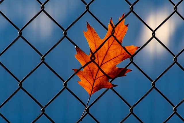 barrier-dry-fence-1550131